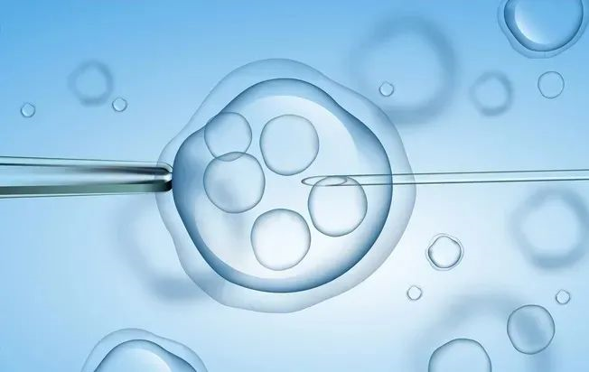 重庆不孕不育辅助生殖技术